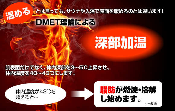 太る原因と痩せる仕組みを知らないと痩せ ...