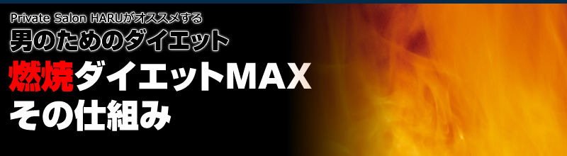 �j�������_�C�G�b�g�A�_�C�G�b�gMAX�B���̌��ʂ̎d�g�݂Ƃ�