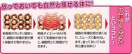 男のためのダイエット 燃焼ダイエットmax の仕組み 脱毛を名古屋でするならharu