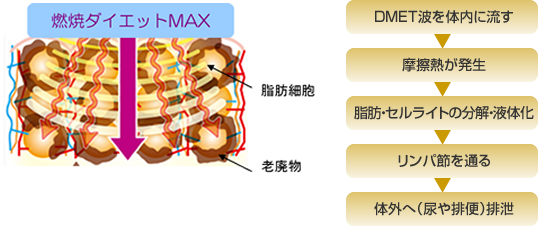 �R�ă_�C�G�b�gMAX�́ADMET�g��̓��ɗ����A���C�M���������A���b�E�Z�����C�g���n���A�t�̉����邱�ƂŁA�����p�߂�ʂ�A�̊O�֔r�������̂ł��B