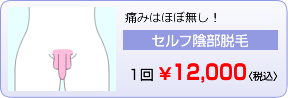 痛みはほぼ無し！　セルフ陰部脱毛　10,000円