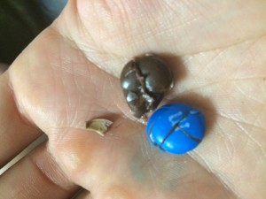 M&MS