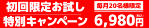 燃焼ダイエットMAXお試し