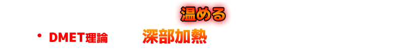 DMET理論による深部加熱