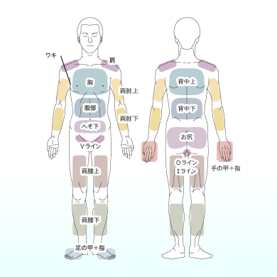 全身脱毛